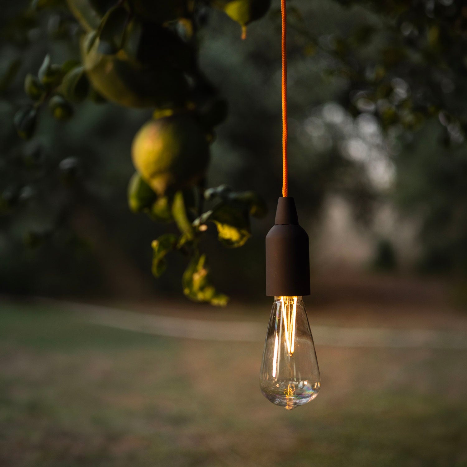 EDDIE - DIMMBARE OUTDOOR RETRO-BIRNE