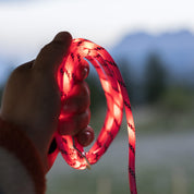 LEUCHTTAU PINK