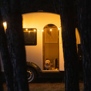 ELLIE - RETRO LICHTERKETTE - THE SUNNYSIDE