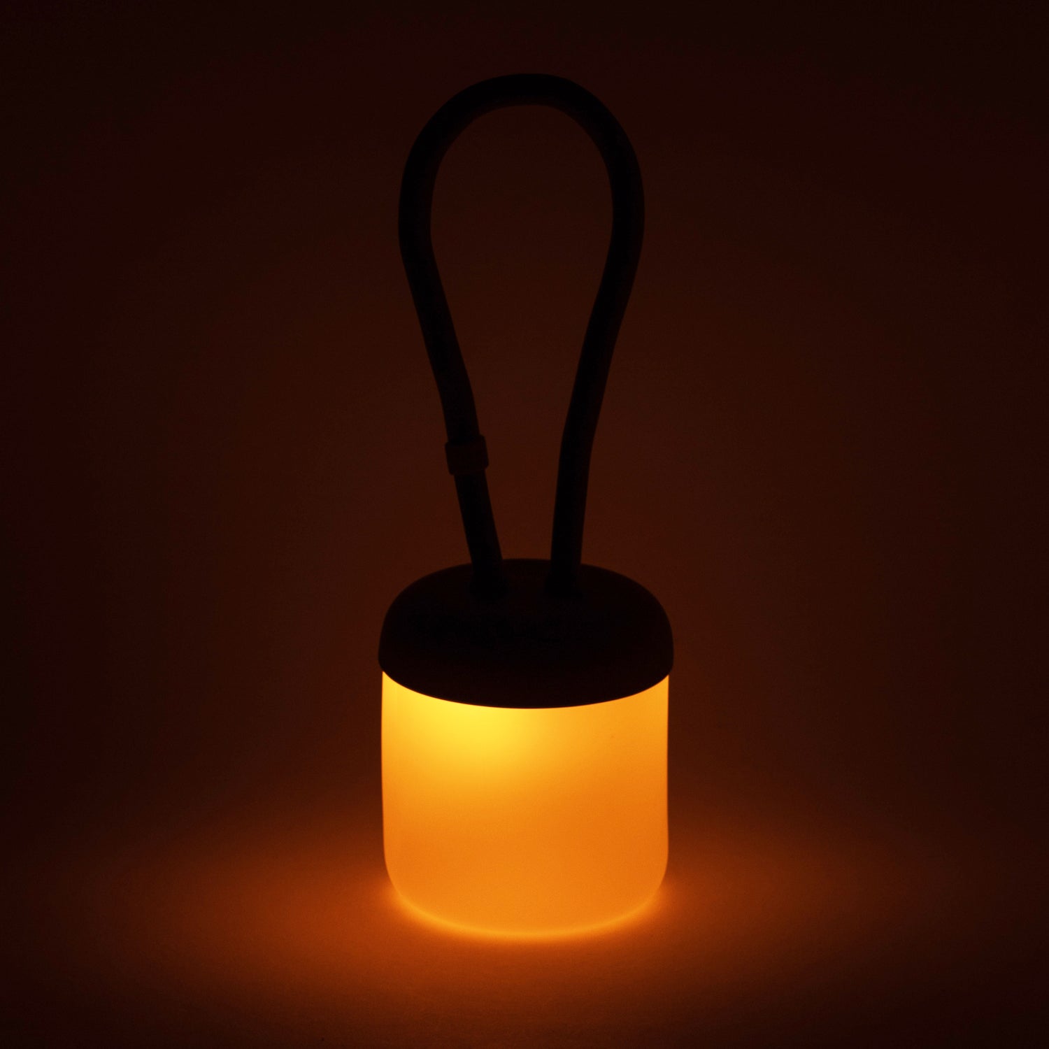 floppy_amber_licht_095.jpg