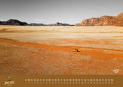 Kalender 2025 - THE SUNNYSIDE