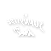 Spiegelverkehrter Vinyl Aufkleber - THE SUNNYSIDE